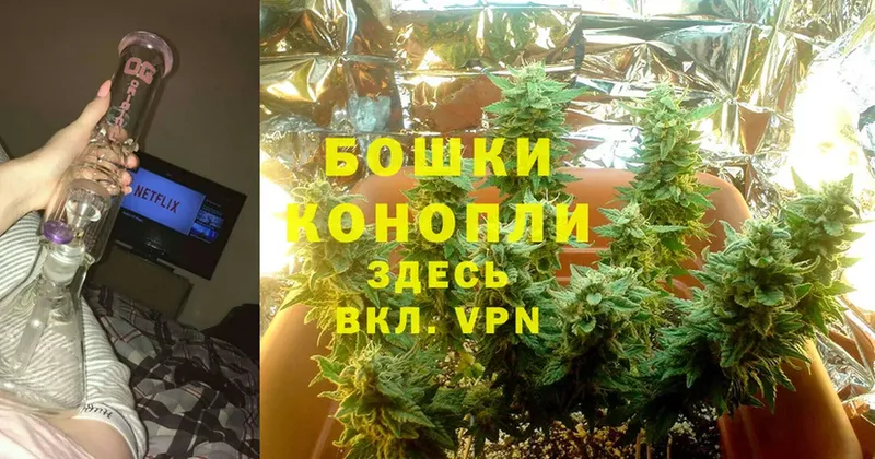 Где купить наркоту Кольчугино COCAIN  Меф мяу мяу  Alpha PVP  МАРИХУАНА  Гашиш 