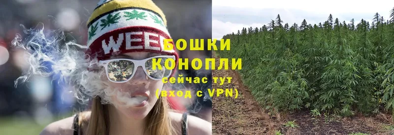 Шишки марихуана SATIVA & INDICA  где найти   Кольчугино 